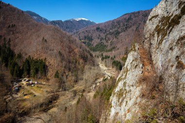 dağ ve orman mavi gökyüzü altında