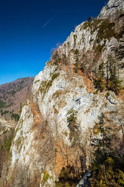 Montañas y bosques bajo el cielo azul — Foto de Stock