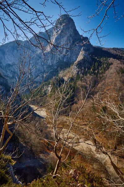 Montañas y bosques bajo el cielo azul —  Fotos de Stock