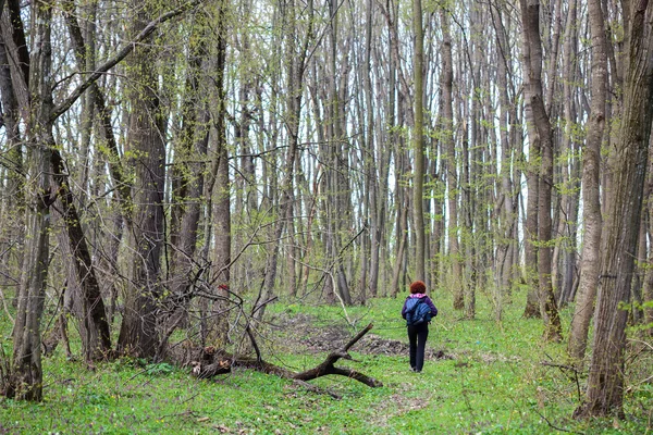 Nő természetjáró az erdő — Stock Fotó