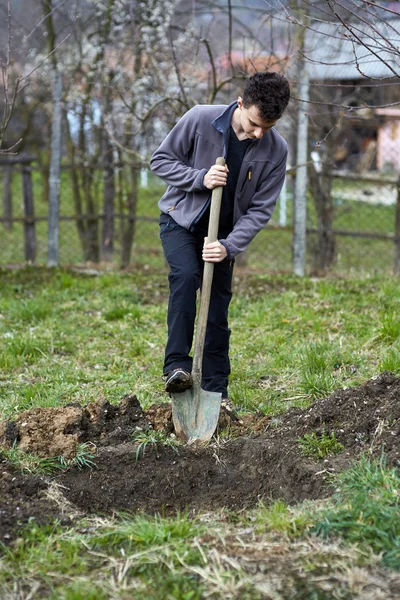 Agricultor adolescente plantando árboles — Foto de Stock