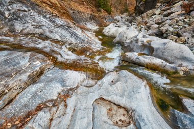 Romen Karpat Dağları nehirde