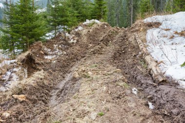 Bir çam ormanına çamurlu yol
