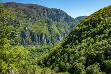  bitki örtüsü ile kaplı kalker Dağları