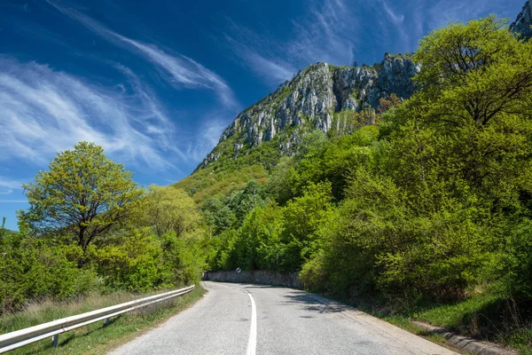 Road going into the mountains — Stock Photo, Image