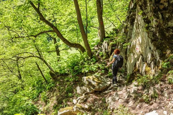 Wanderin mit Rucksack unterwegs — Stockfoto