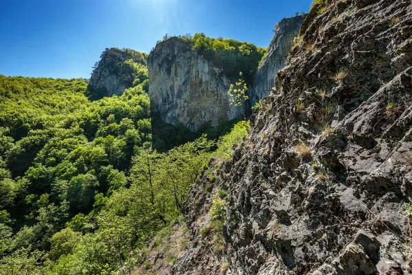 Mészkő hegyek borítják növényzet — Stock Fotó