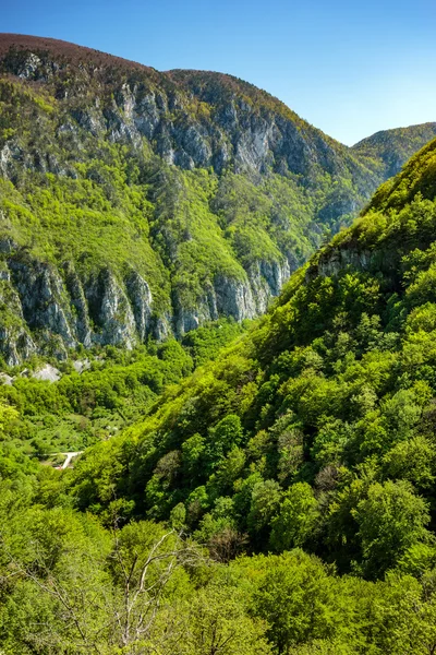 Kalkstenen bergen bedekt met vegetatie — Stockfoto