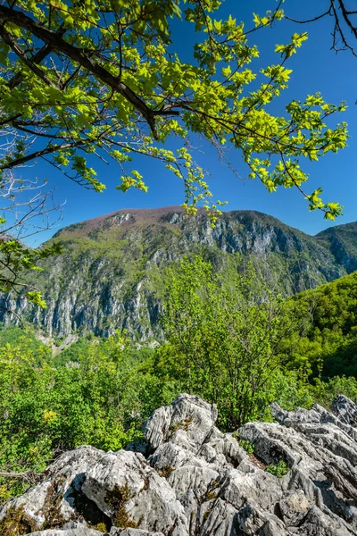 Mészkő hegyek borítják növényzet — Stock Fotó