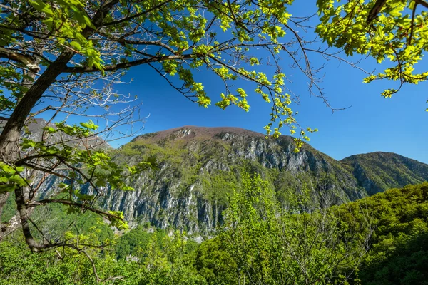 Montagnes calcaires couvertes de végétation — Photo