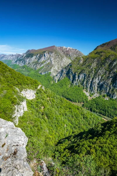 Montañas de piedra caliza cubiertas de vegetación —  Fotos de Stock