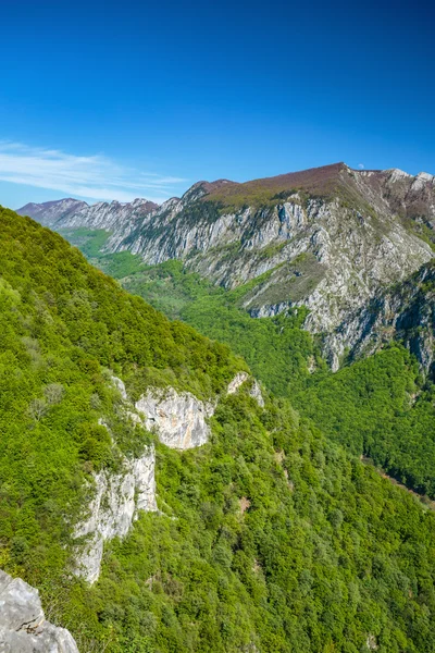 Limestone mountains covered with  vegetation — Stock Photo, Image