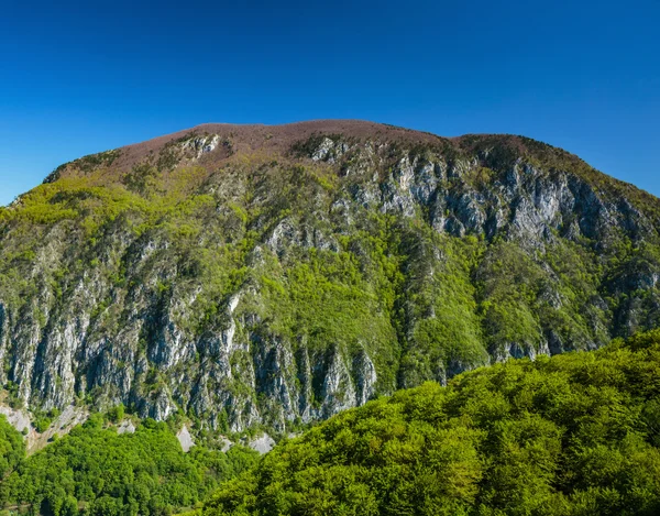 石灰岩山地植被覆盖 — 图库照片