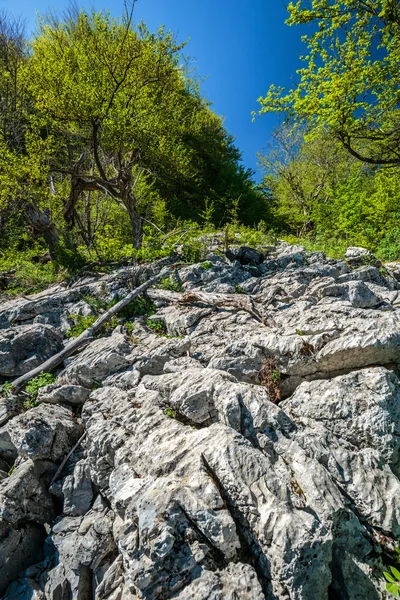 Вапнякові скелі на горі — стокове фото