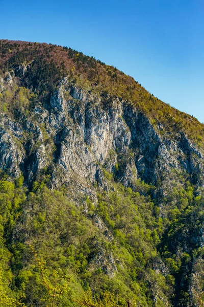 Montanhas calcárias cobertas de vegetação — Fotografia de Stock