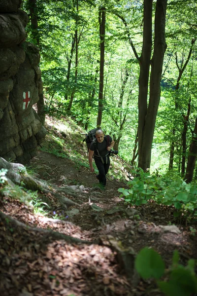 Fotógrafo de natureza caminhadas em uma trilha — Fotografia de Stock
