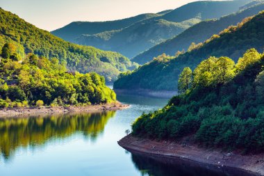 ormanda kaplı dağları arasında s Gölü