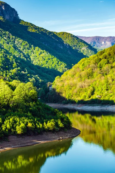 H lago entre montanhas cobertas de floresta — Fotografia de Stock