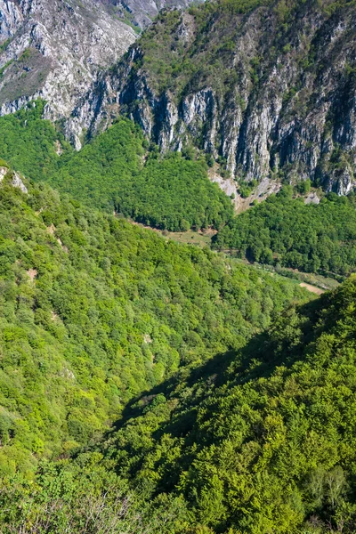 Montanhas e vale coberto de floresta — Fotografia de Stock