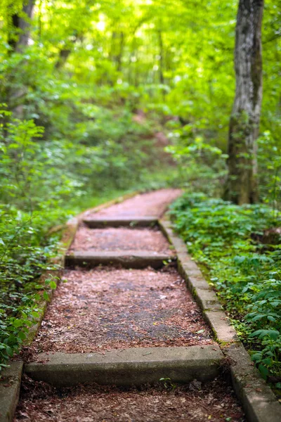 Paved alley in the park — Stock Photo, Image