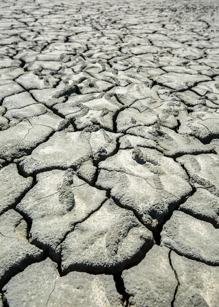 Solo seco rachado — Fotografia de Stock