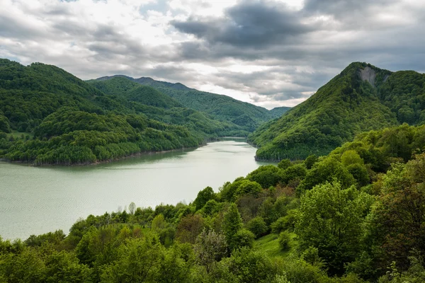 Lago entre montanhas cobertas de florestas — Fotografia de Stock