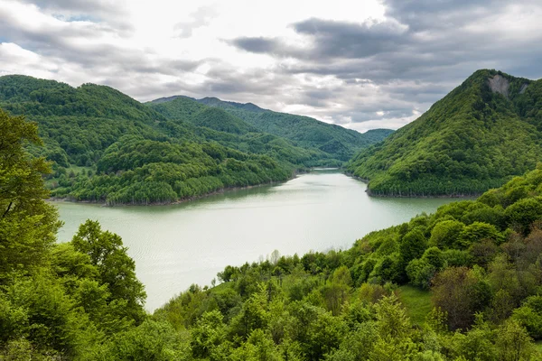 Lago tra montagne ricoperte di foreste — Foto Stock