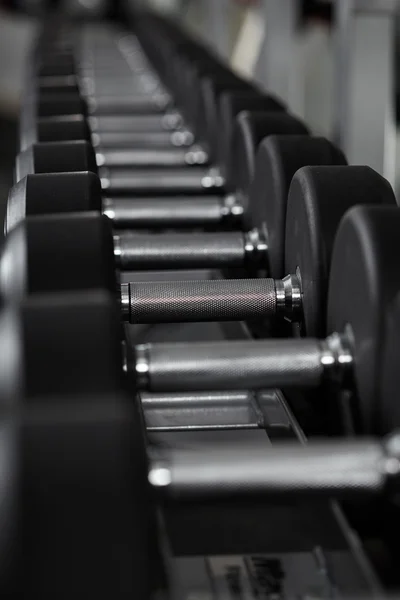 Dumbbells in the gym, on the rack Royalty Free Stock Photos