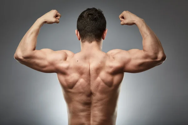 Bmodel showing his muscular back Royalty Free Stock Photos