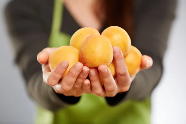 Koch hält einen Bund Aprikosen in der Hand — Stockfoto