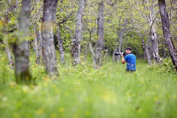 Fotografía de la naturaleza —  Fotos de Stock