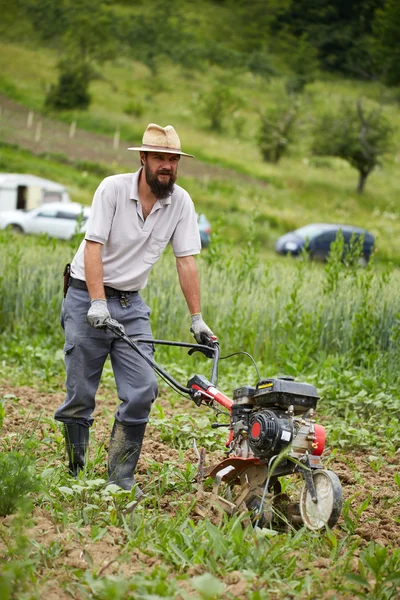 Desmalezado de agricultores en un campo de maíz — Foto de Stock