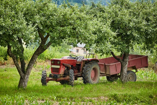 Viejo tractor en el huerto —  Fotos de Stock