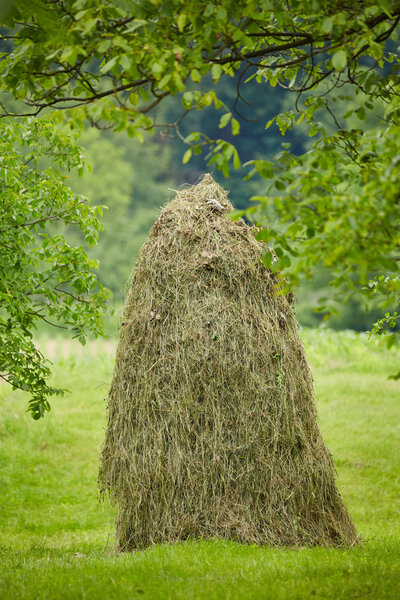 Пастбище сена на пастбище
