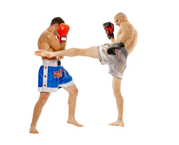 Due combattenti kickbox sparring — Foto Stock