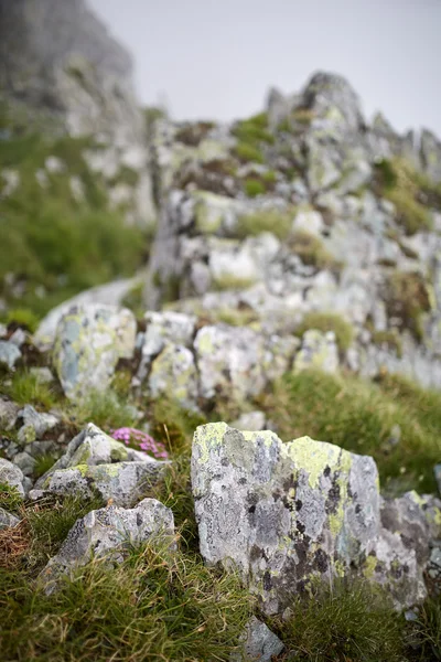 Misty rocky mountains — Stock fotografie