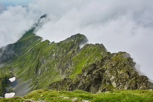 Neblige felsige Berge — Stockfoto