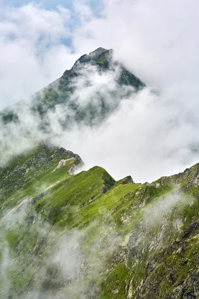 Misty rocky mountains — Stock fotografie