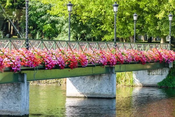 A footbridge with flowers on side — Stock Photo, Image