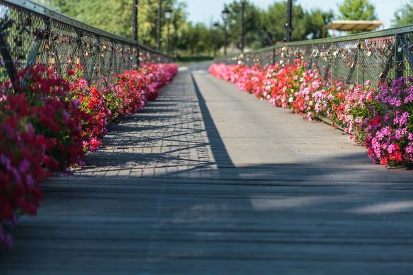 歩道橋側に花をつける ロイヤリティフリーのストック写真