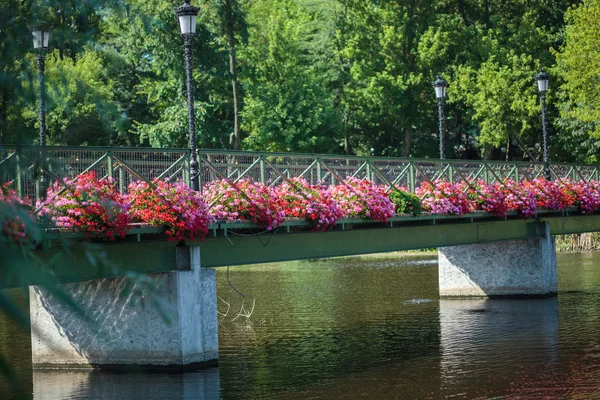 Uma passarela com flores ao lado — Fotografia de Stock