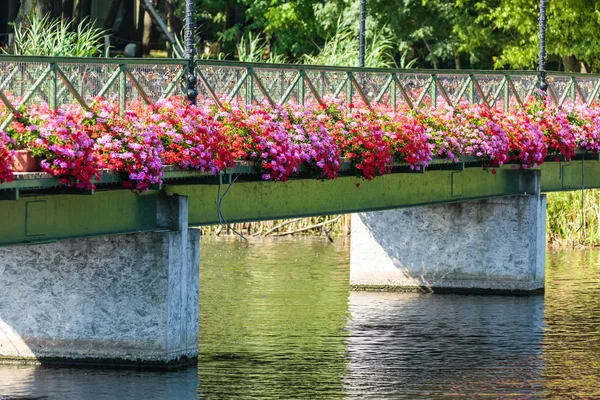 Пішохідний міст з квітами збоку — стокове фото