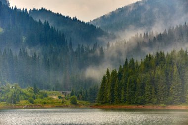 Lake Vidra in Romania clipart