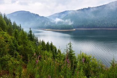 Lake Vidra Romanya