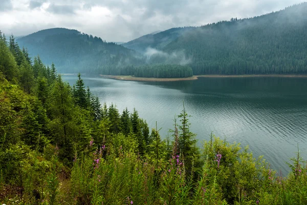 Lago Vidra en Rumania —  Fotos de Stock