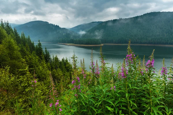 Lago di Vidra in Romania — Foto Stock