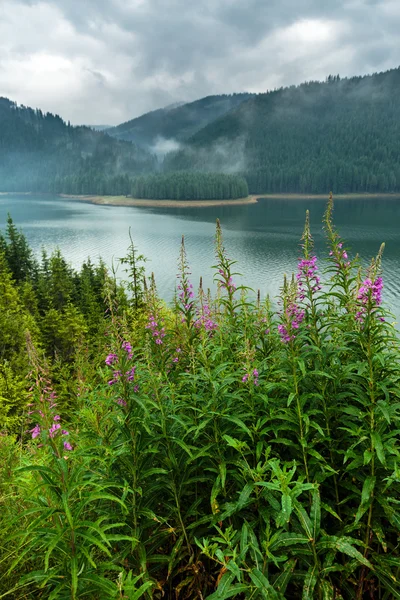 Lago Vidra en Rumania Imágenes de stock libres de derechos