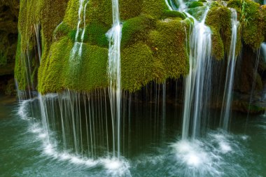 yemyeşil bir orman şelale