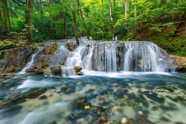 Cachoeira em uma floresta exuberante — Fotografia de Stock