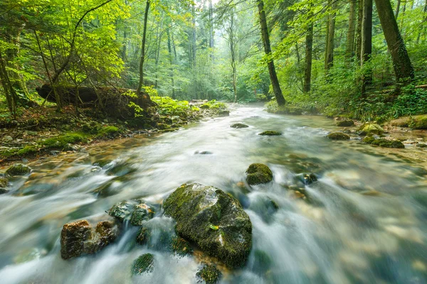 Rio que flui pela floresta — Fotografia de Stock